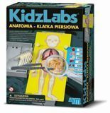 4M Anatomia Klatka Piersiowa Russell