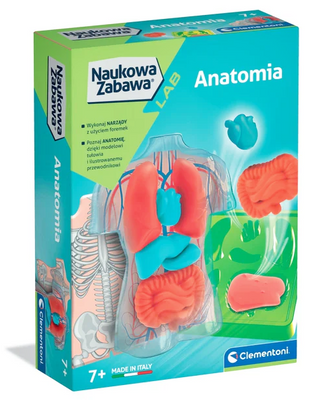 Naukowa Zabawa Anatomia Model anatomiczny tułowia Clementoni