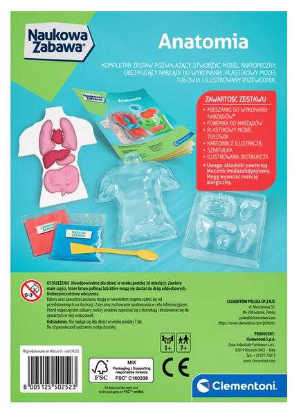 Naukowa Zabawa Anatomia Model anatomiczny tułowia Clementoni