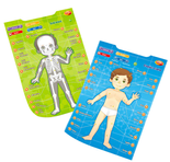 Edukacyjne Plakaty Człowiek Dumel