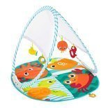 Składana mata edukacyjna FXC15 Fisher Price