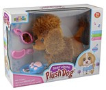 Piesek pudelek na smyczy chodzi szczeka brązowy