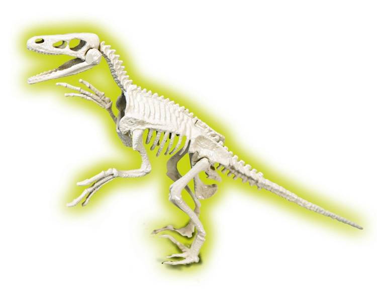 Skamieniałości Welociraptor 50639 Clementoni